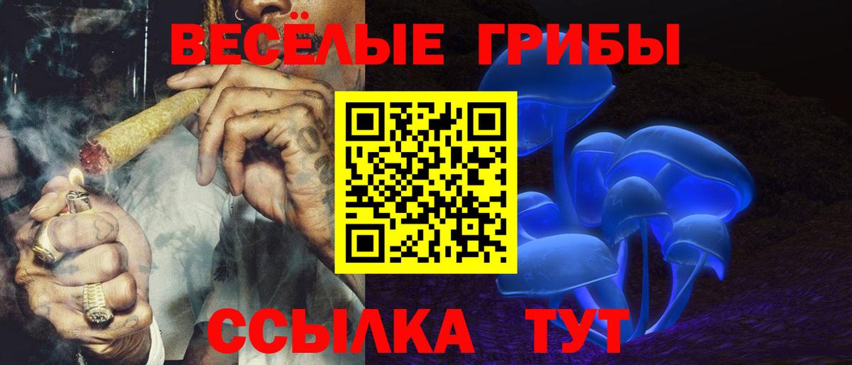Елец  Псилоцибиновые грибы Psilocybine cubensis  Вход с VPN 