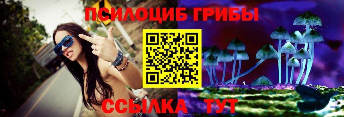 Галлюциногенные грибы MAGIC MUSHROOMS Елец
